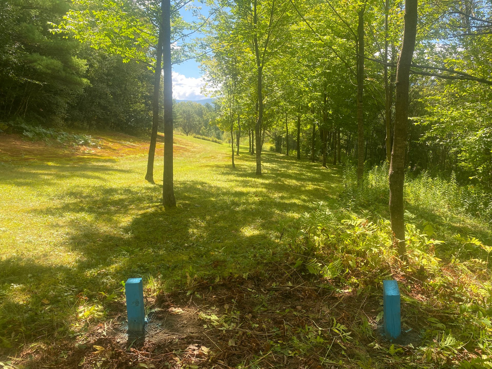 Hole 11 New Blue Tee 8-31-25