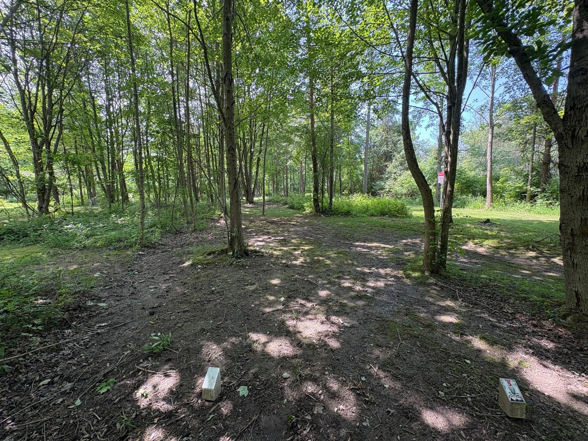 View from tee 5