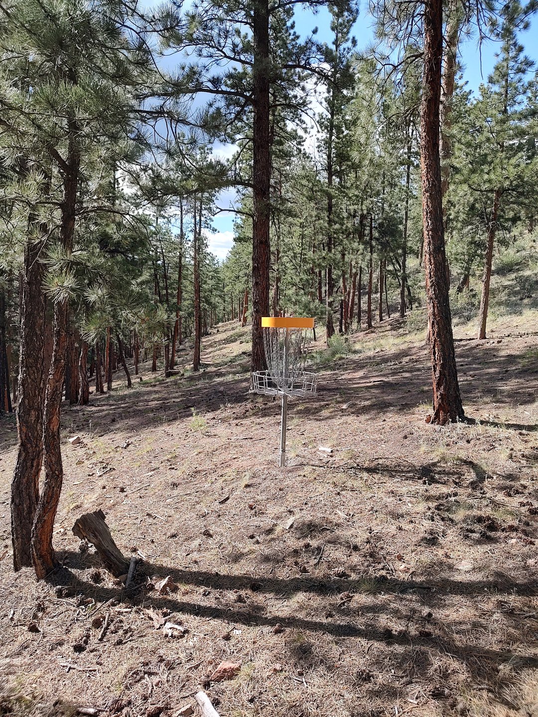 Basket - Hole 3 Littlefoot