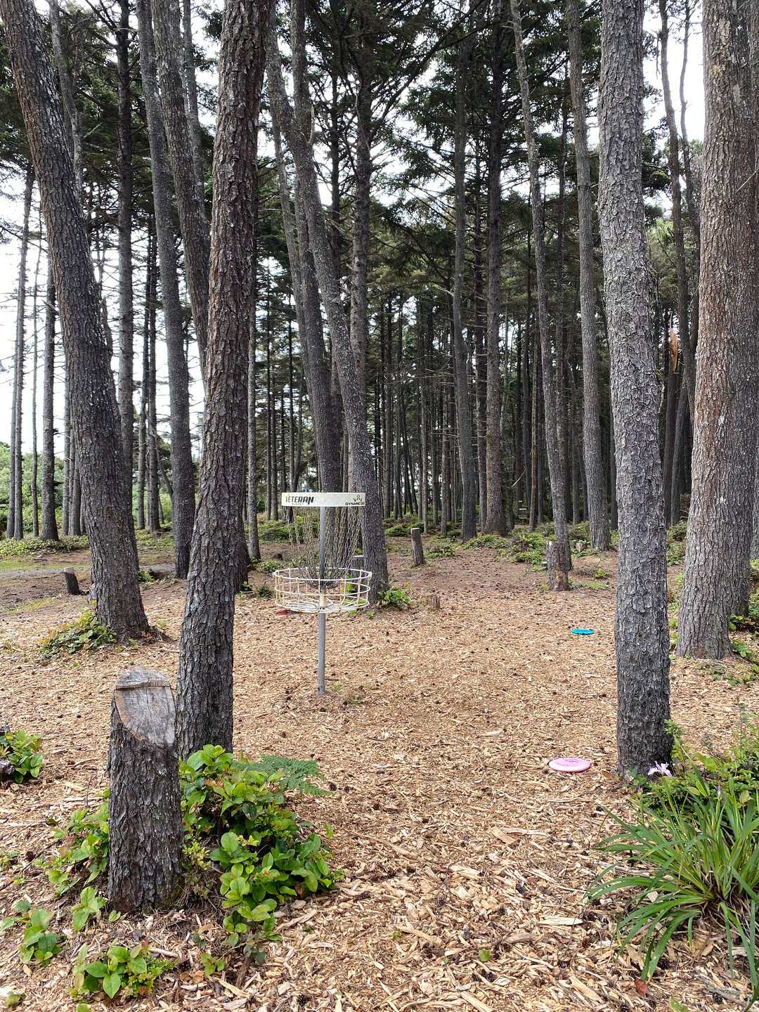 Shared basket for Holes 6 and 15 on the Main layout, and holes 7a and 22A on the Bandon 30 layout.