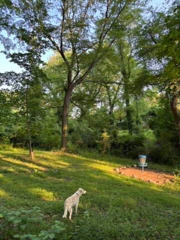 The green of hole 7 with Flintlock