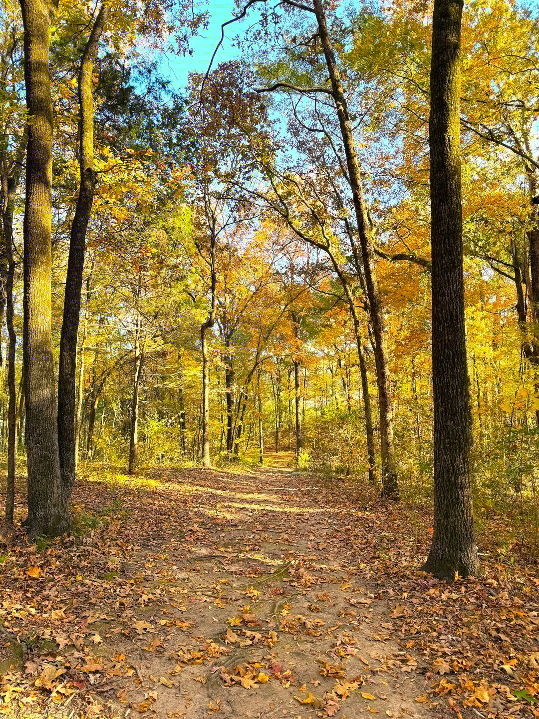 Hole 7 Downhill Fairway