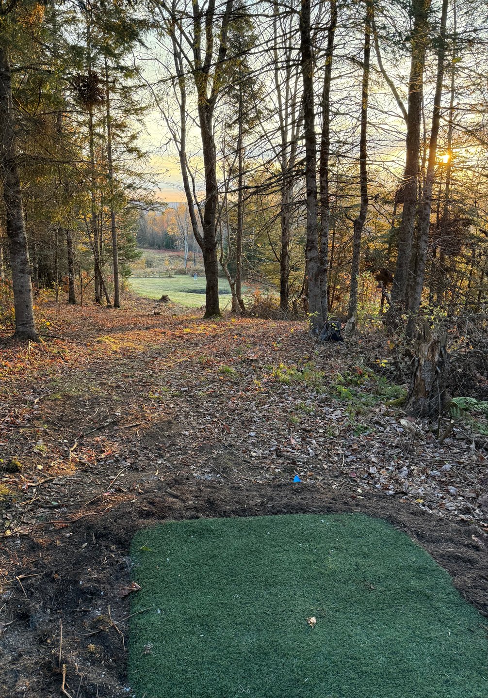 Blue tee on 16, OB past fence and in pond.
