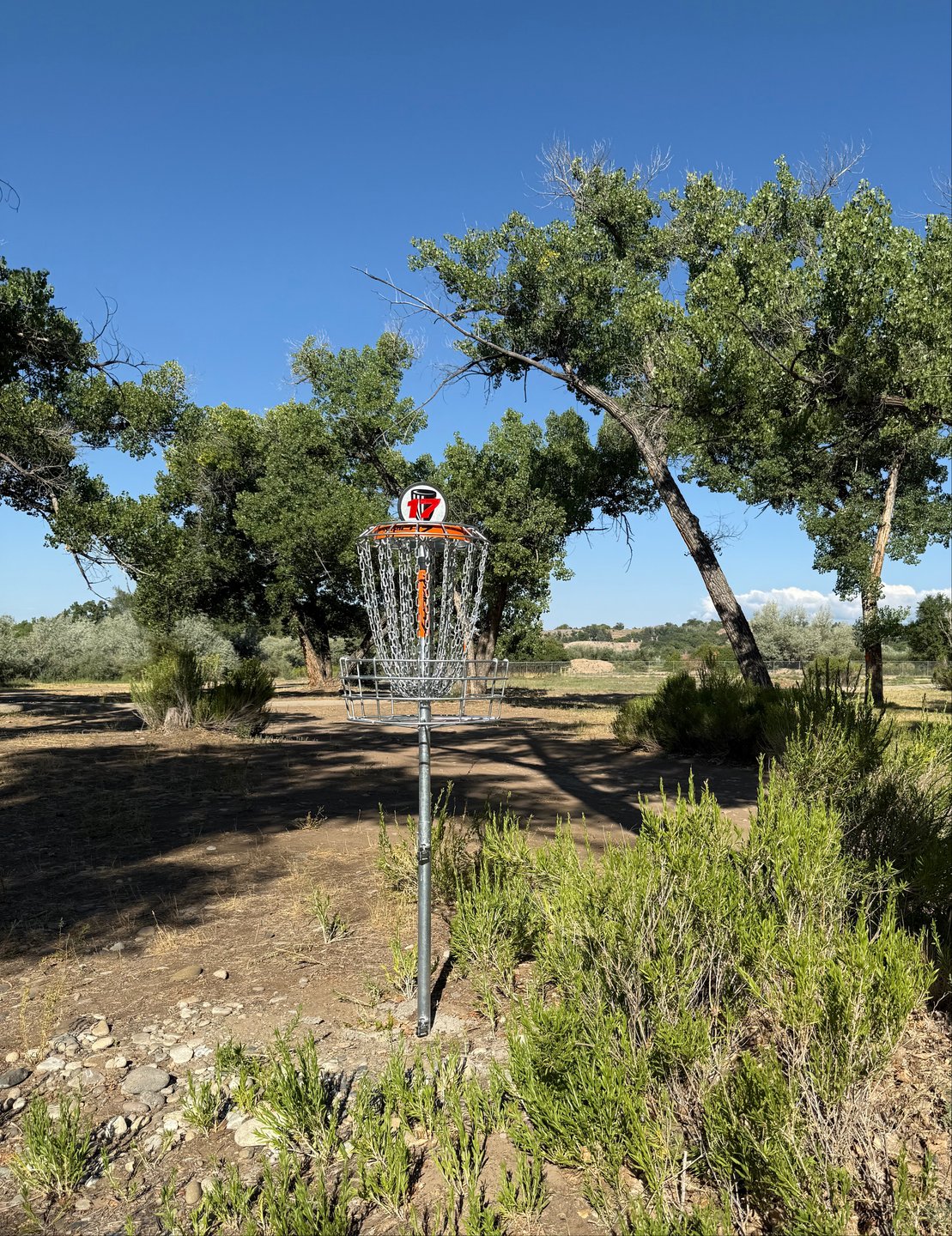 The long basket of hole 17 is elevated.