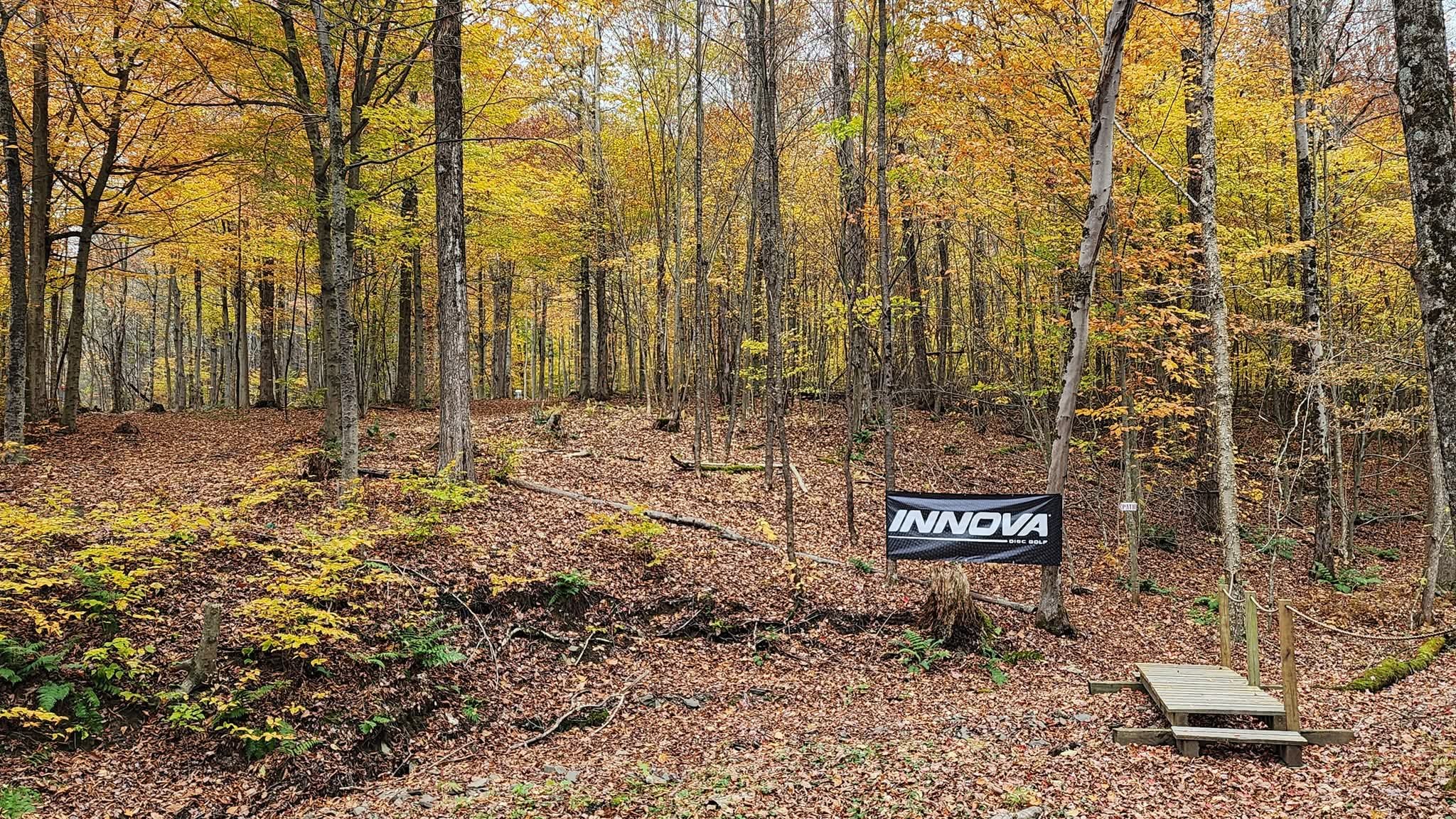 Hole 11 tee shot, uphill over the creek