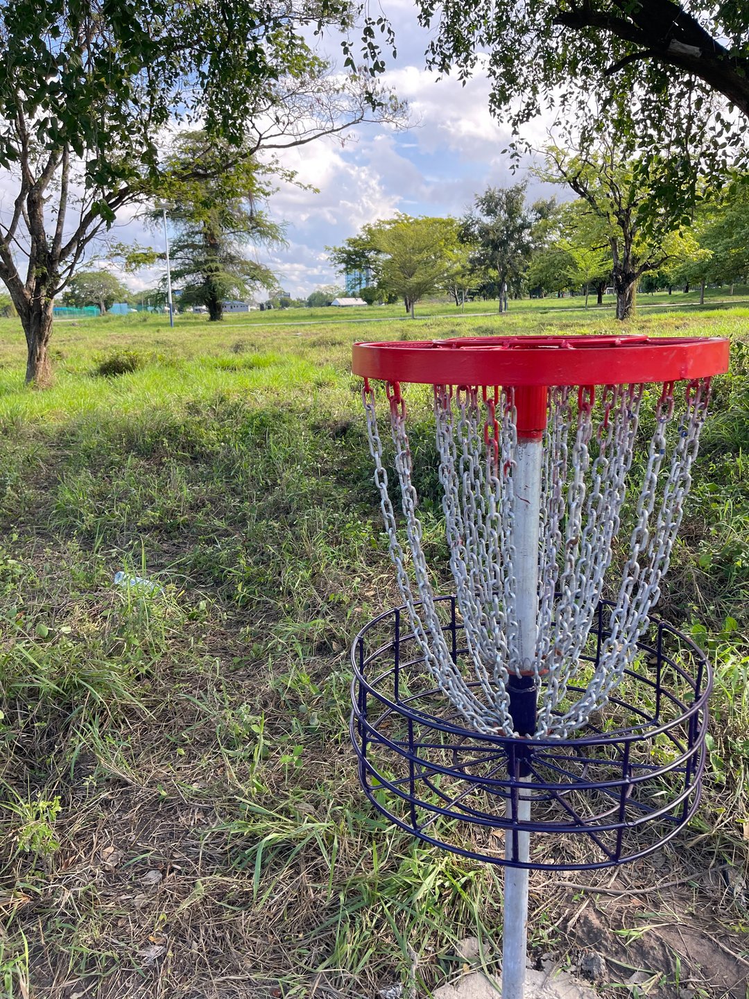 Hole 2 Basket