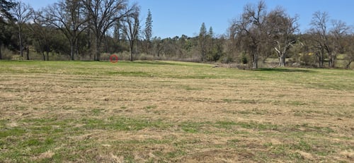 tee next to hole 4 basket