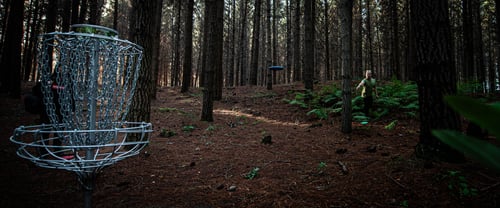 Green of hole 7 