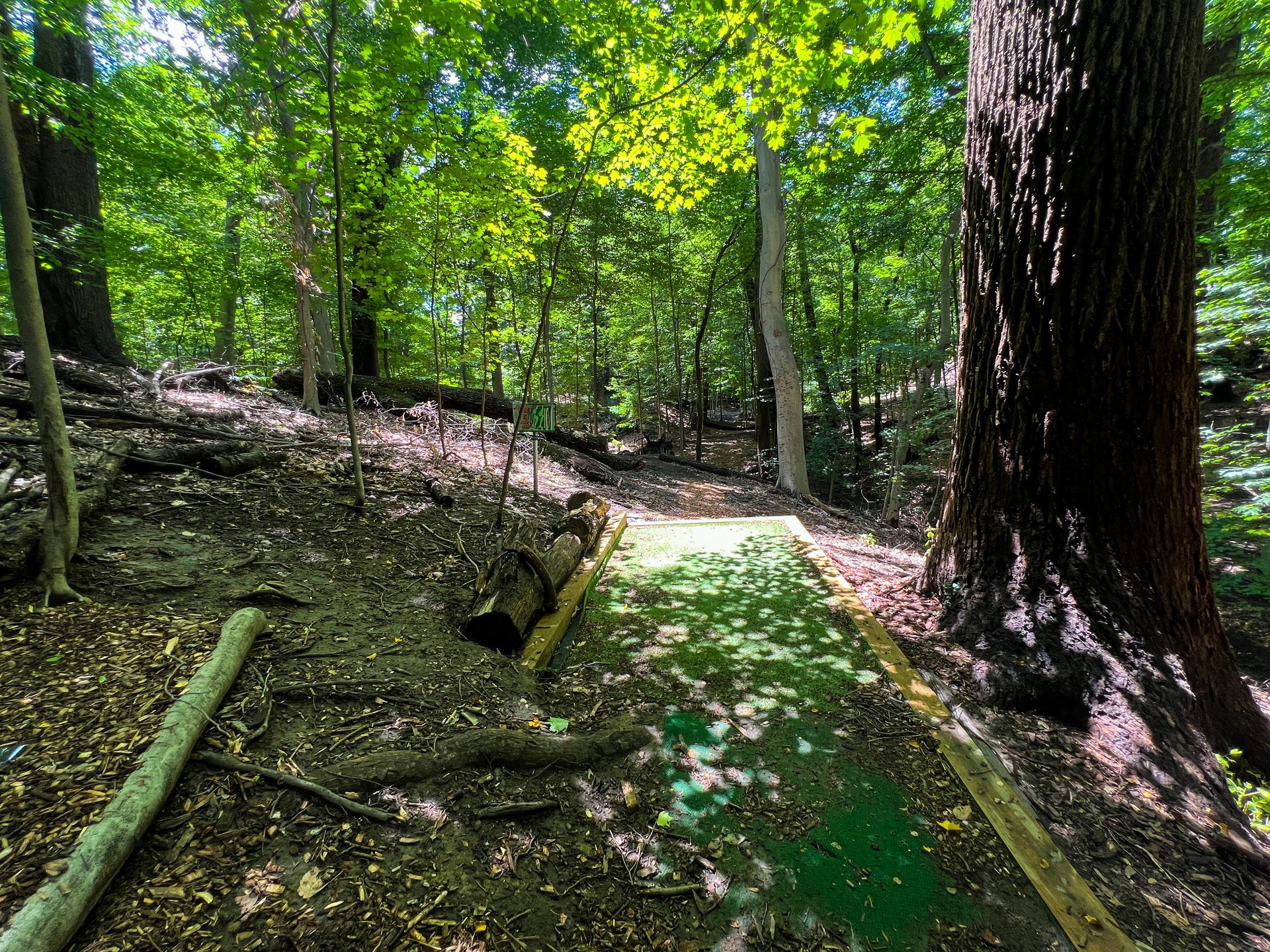 Hole 13's tee. Pink is par 4, 401 ft, and is directly straight ahead. Yellow is par 3, 347 ft, straight ahead and then on the right side towards the bottom of the hill. OB is in the stream and across. OB is defined by white poles with red caps. OB end by the beginning of the stream. 