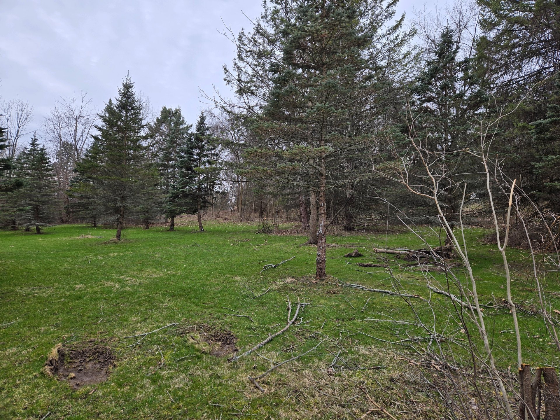 Middle of fairway from landing zone looking to basket area