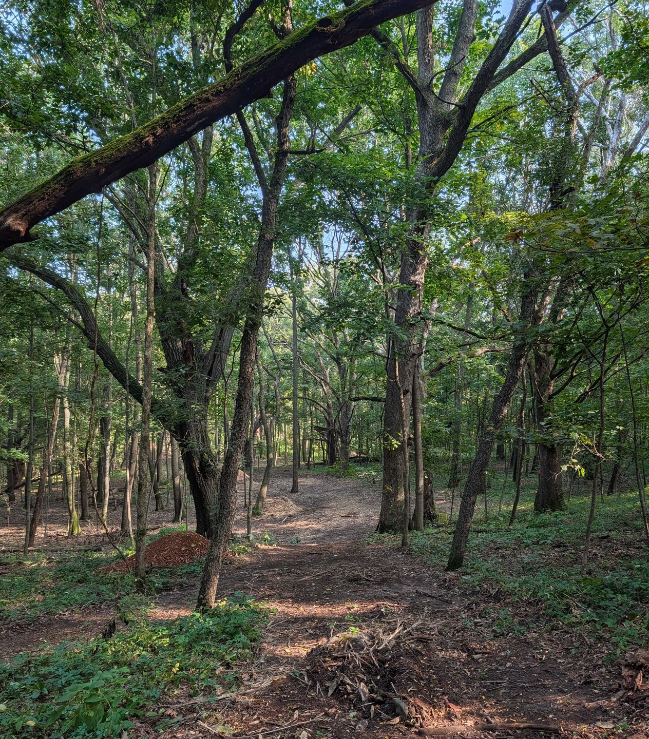Hole 12 - Fairway from long tee - initially bends to the left and opens to a straight shot