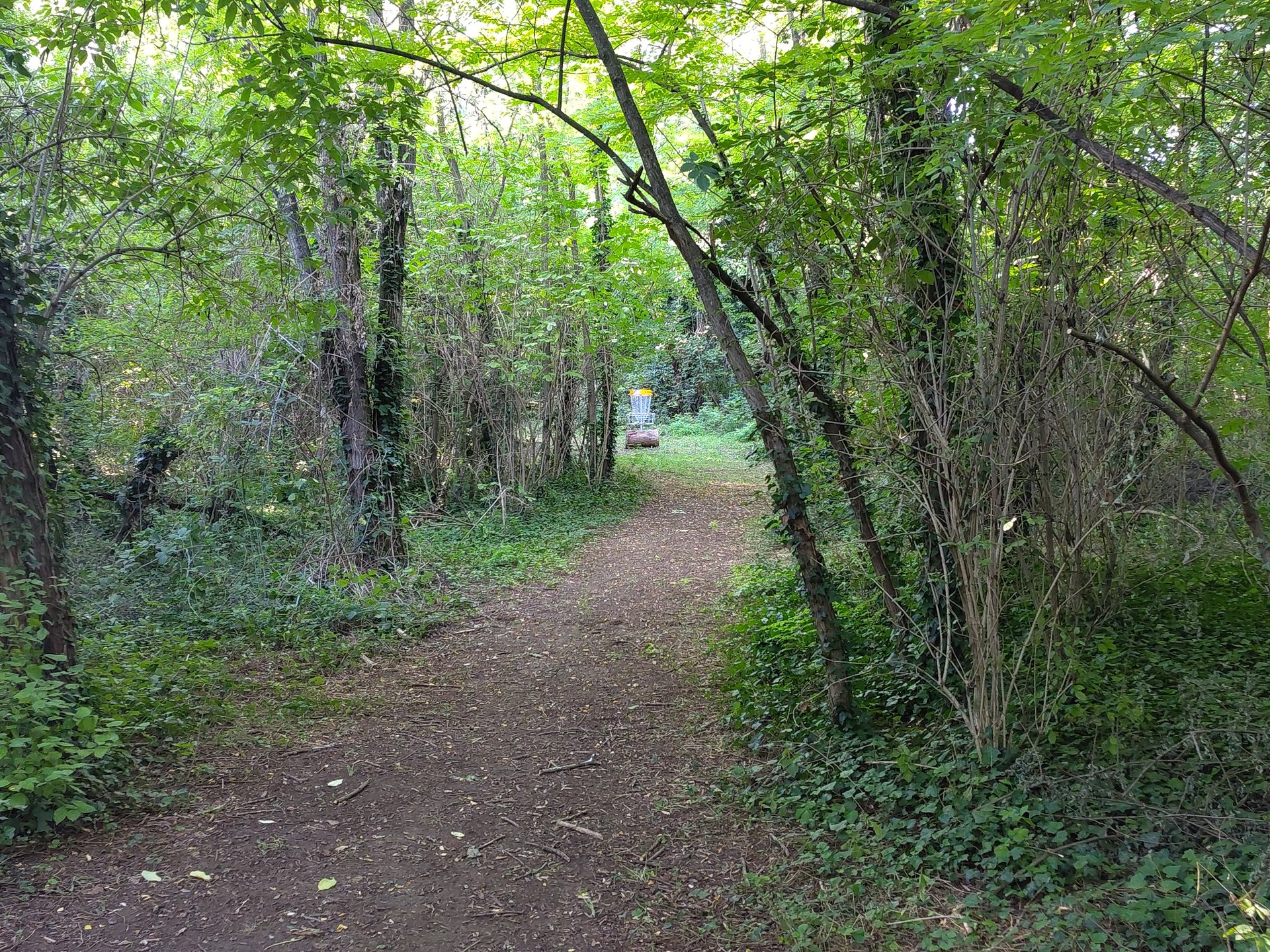 tee hole 5 (red layout)