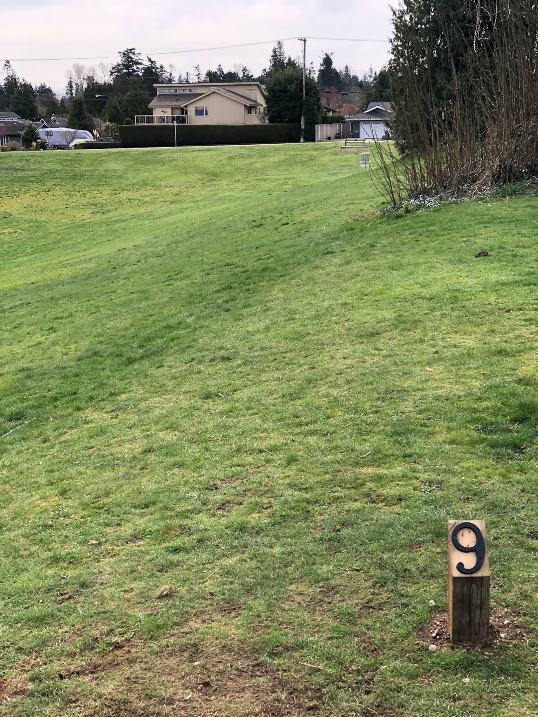 Tee 9. 