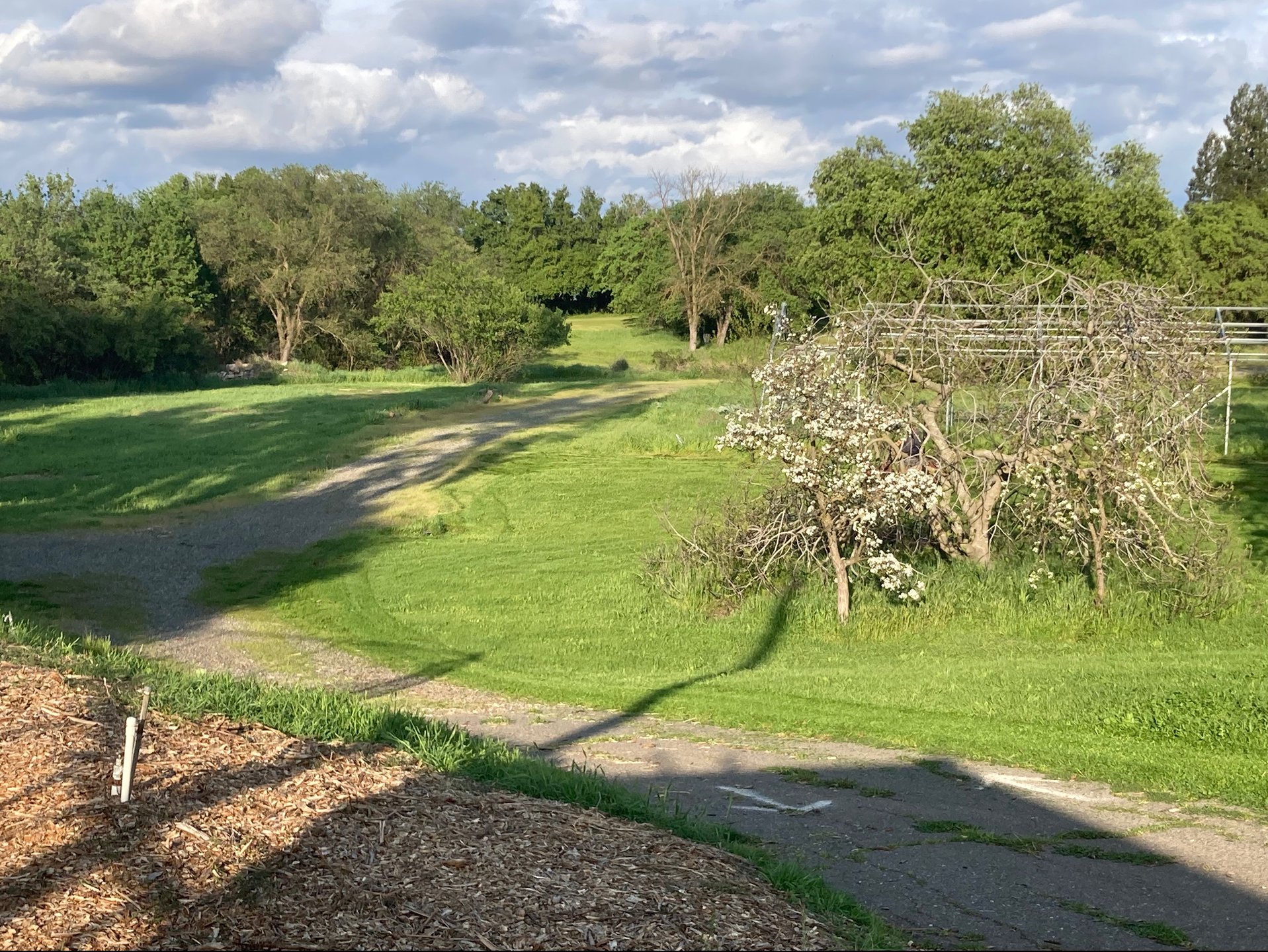 Gravel Gully (Par 4)