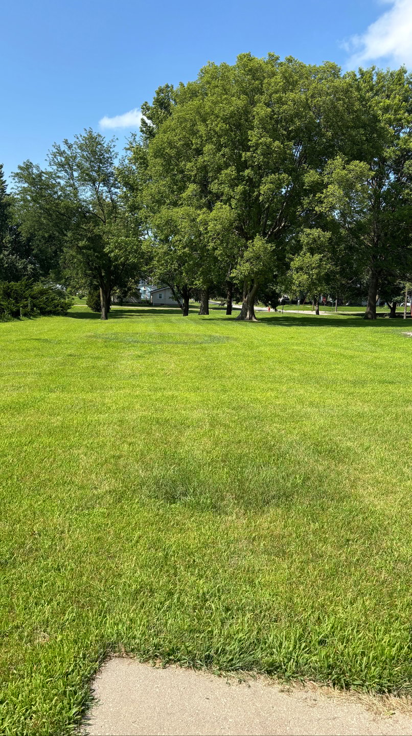 #13 Fairway