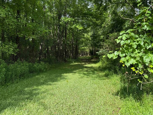 Hole 10: Tunnel fairway