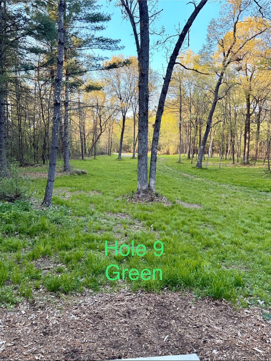Green - Short Teepad
