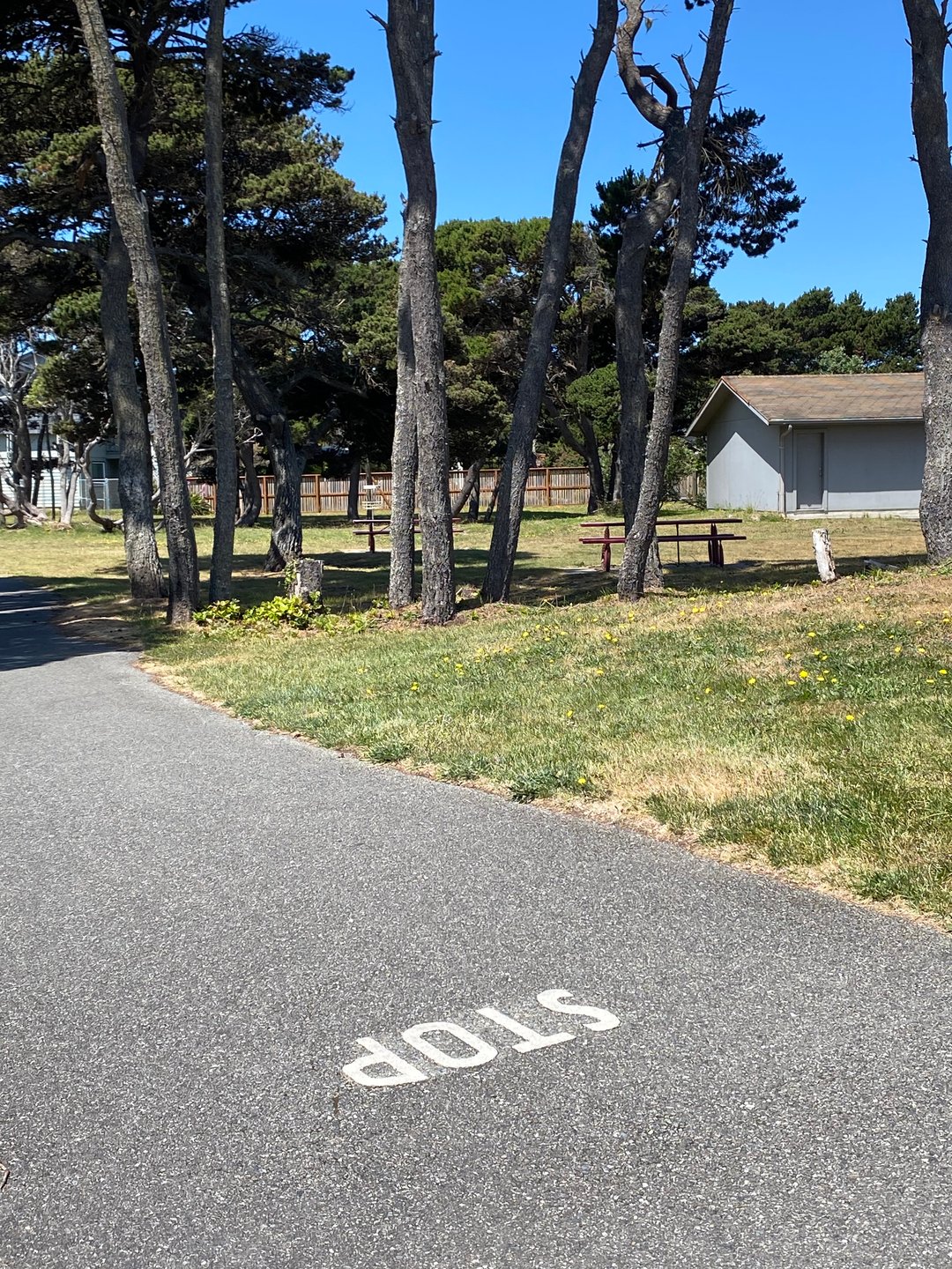 Tee pad for Hole 17A on the Bandon 30 layout.  The painted "STOP" marked the end of the pad.