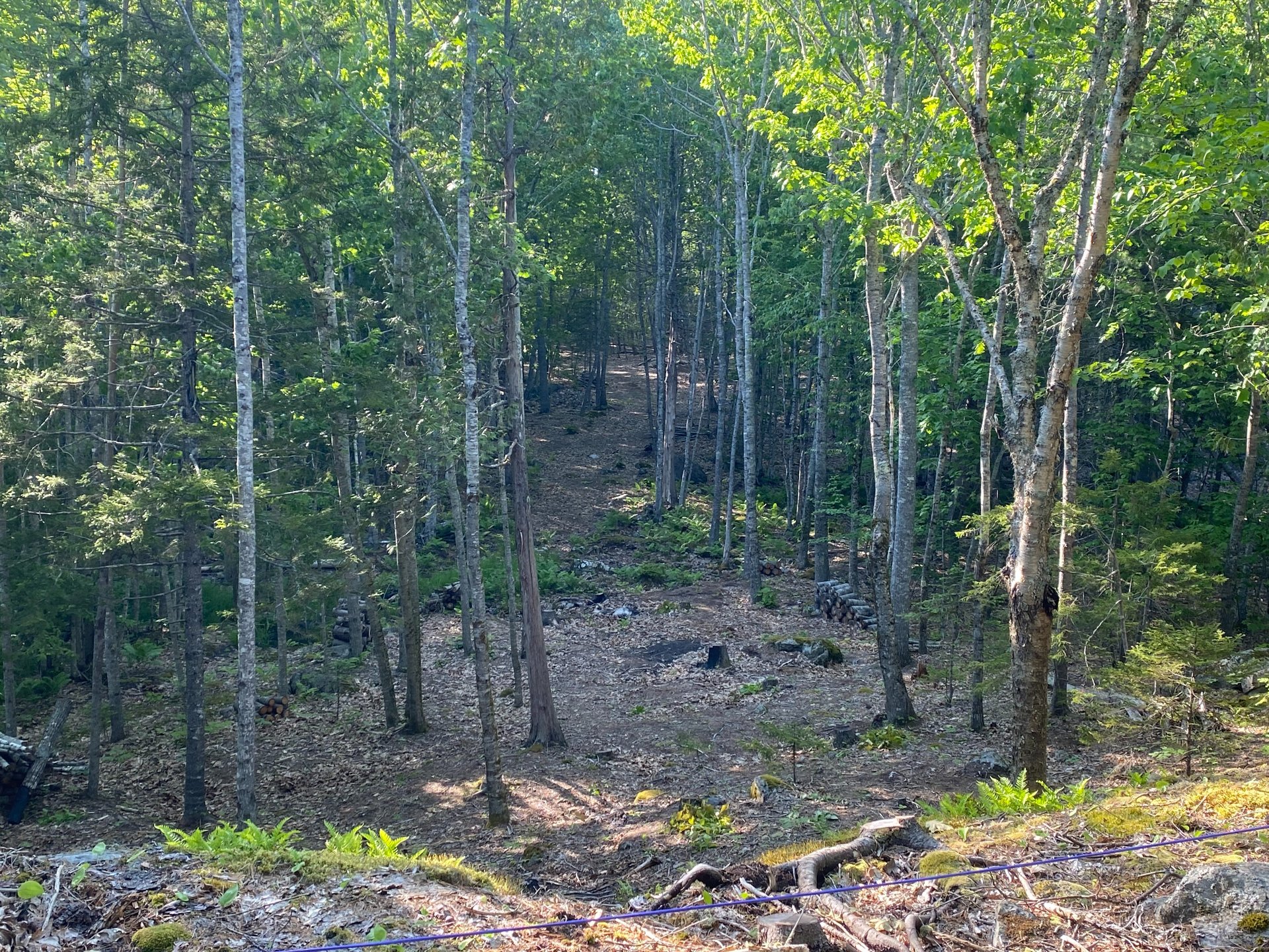View from Tee