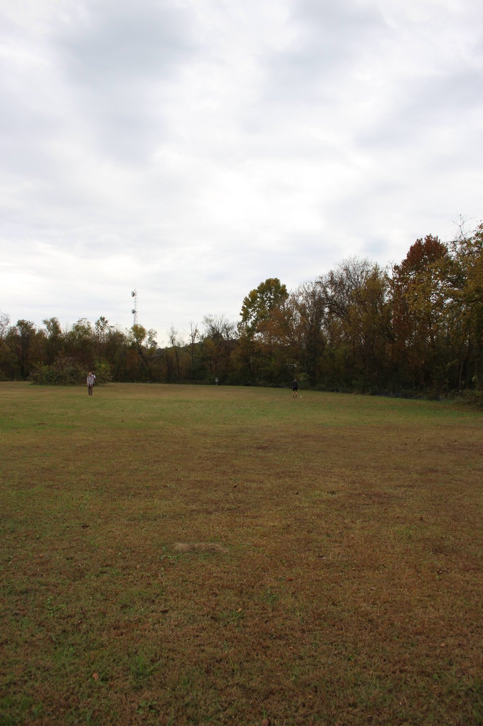Landing zone to the basket. Anything right of the silk fence is OB.