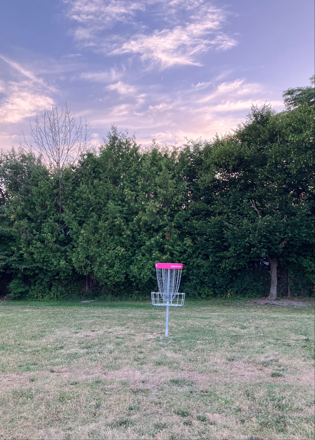 Pink basket