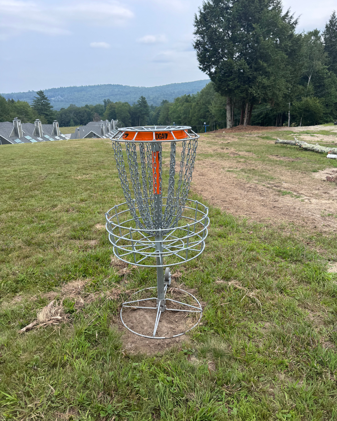 Hole 4 basket