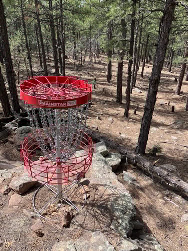 Hole 13 Basket