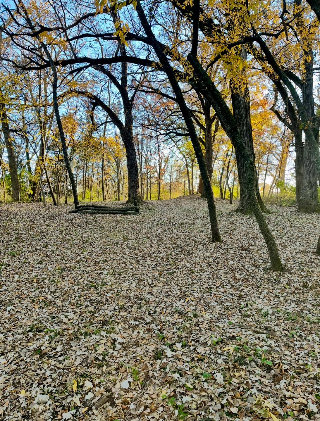 Hole 2 - Fairway. Couple guardian knee walls, especially in line off Pro Tee. 