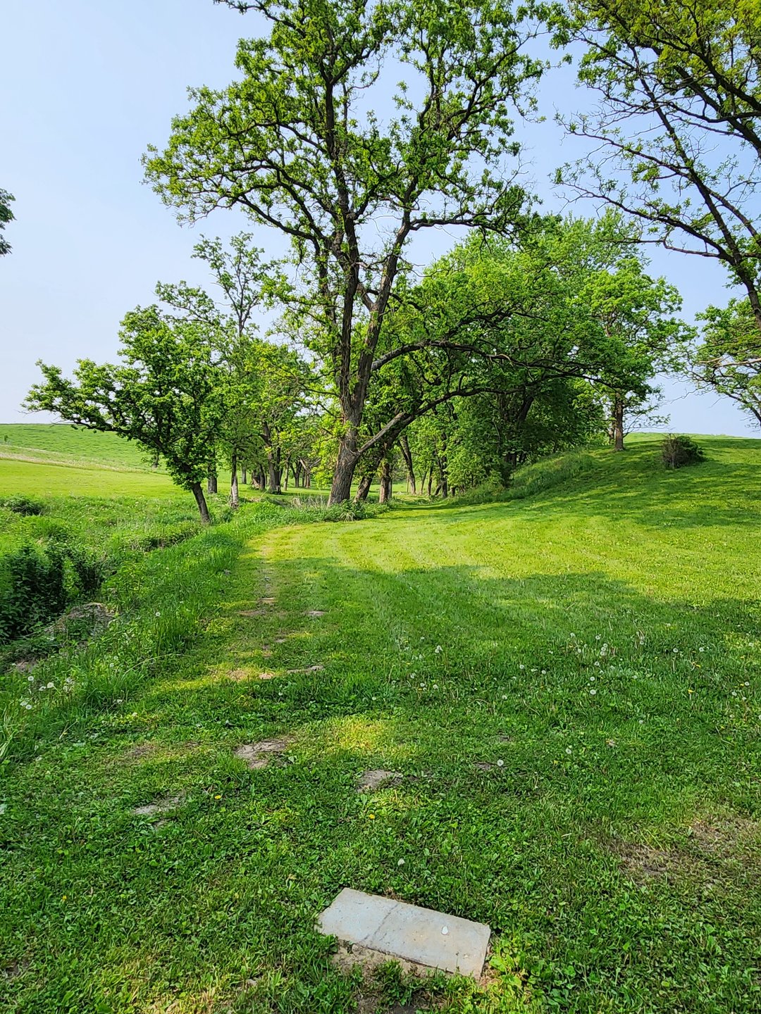 Hole 8 Tee Pad. Mando right of first tree on left. If mando is missed proceed to DZ.
