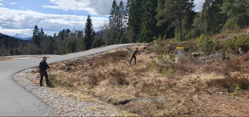 Kurv 4. Kurv 9 i bakgrunnen.