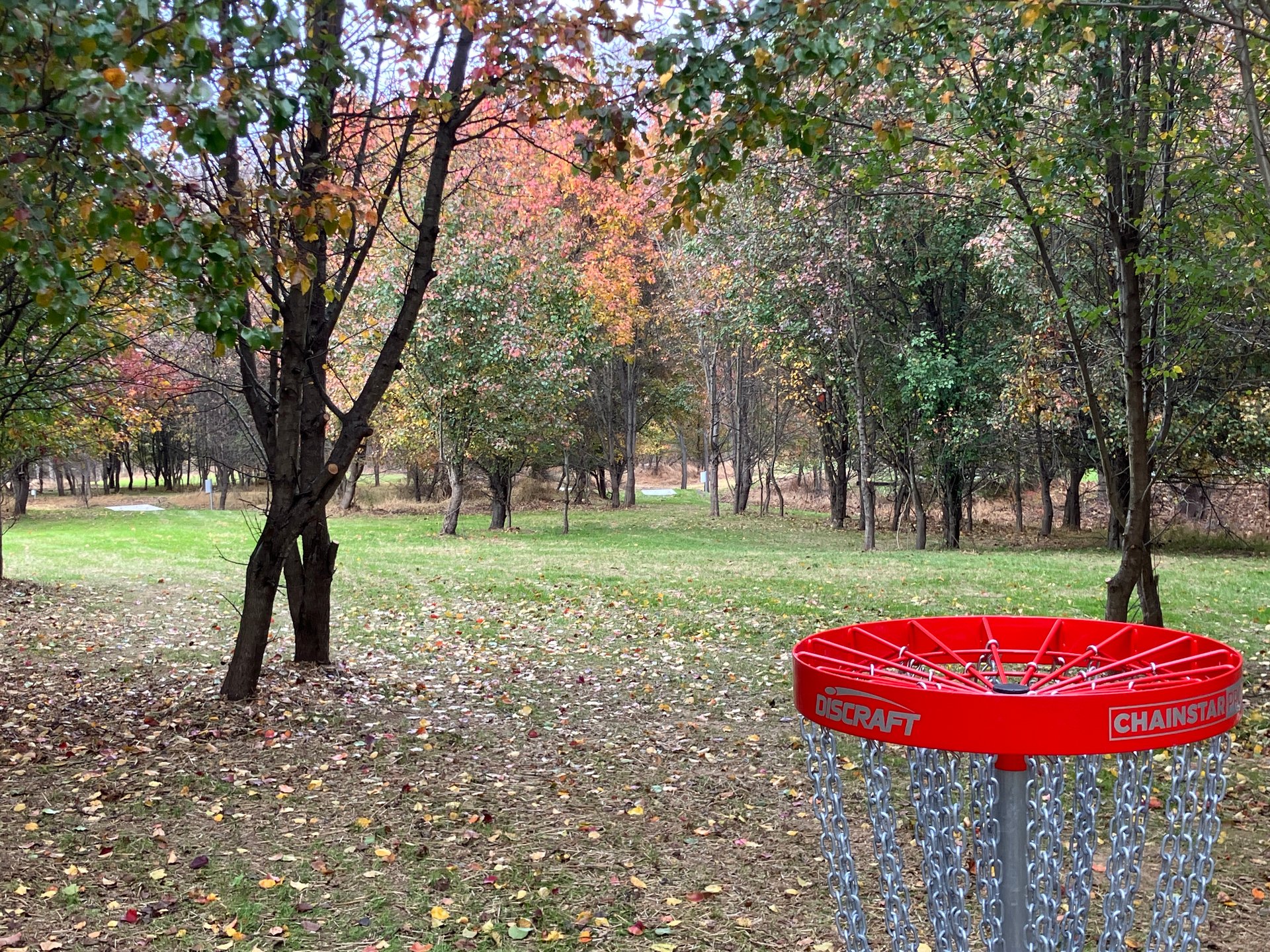 Hole 17 in “A”, green to tees.