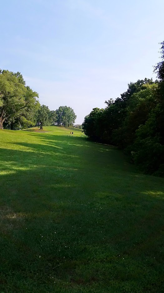 Basket can be straight ahead in the wide open or tucked back into the woods on the right.  Photo from the short tees