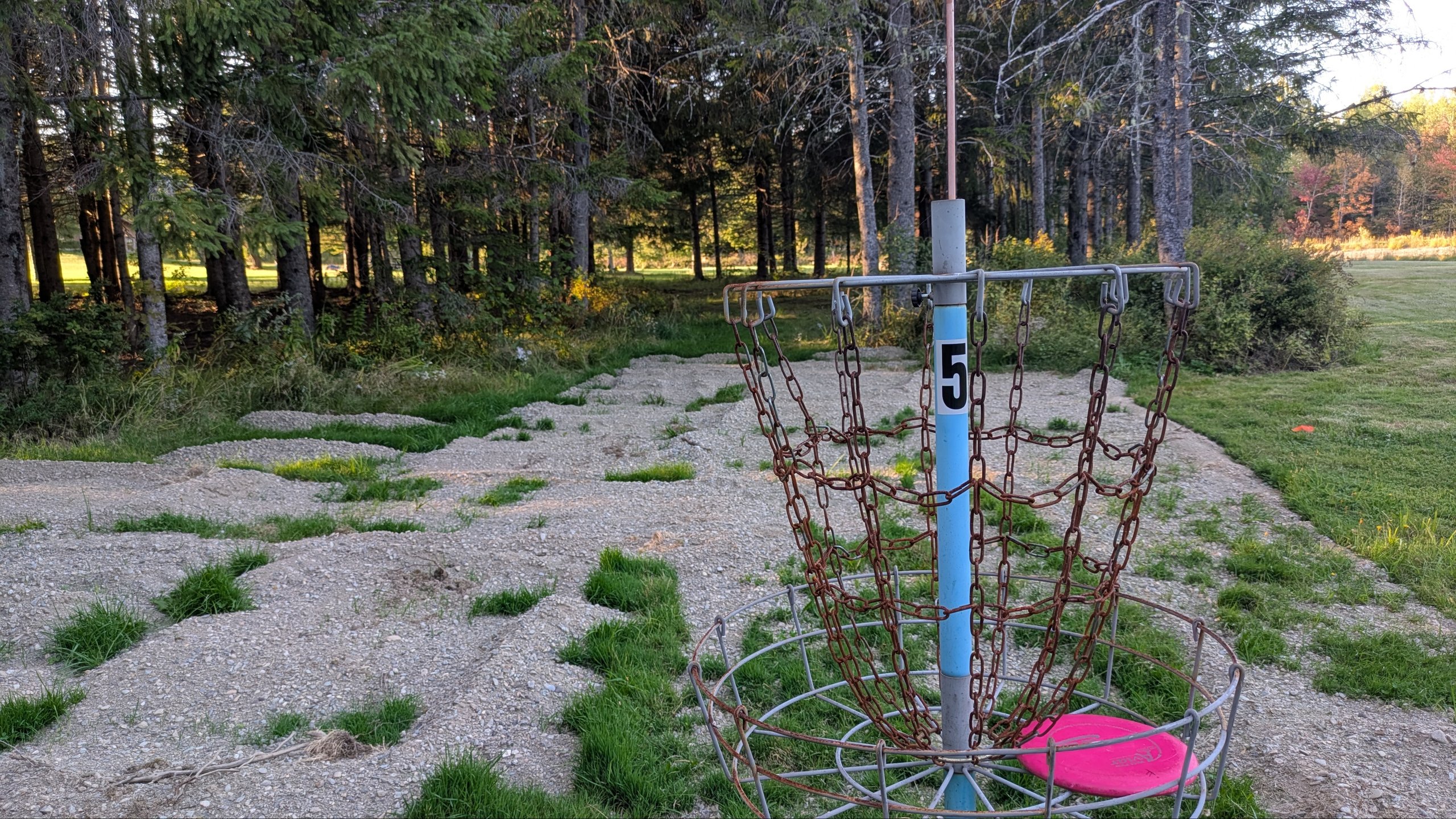 Hole 5 target looking back through the corridor of trees that leads to it