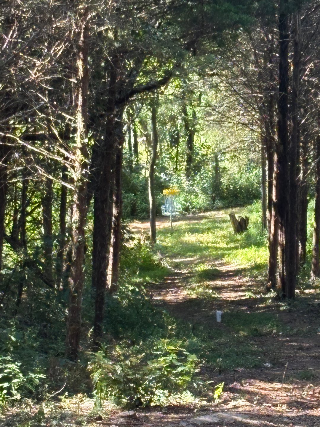 Tee view 