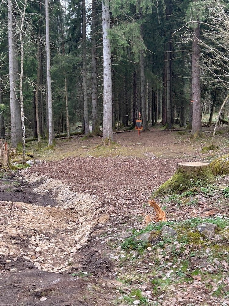 New improved sweet spot on hole 13 gold