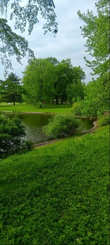 Water carry on hole 7