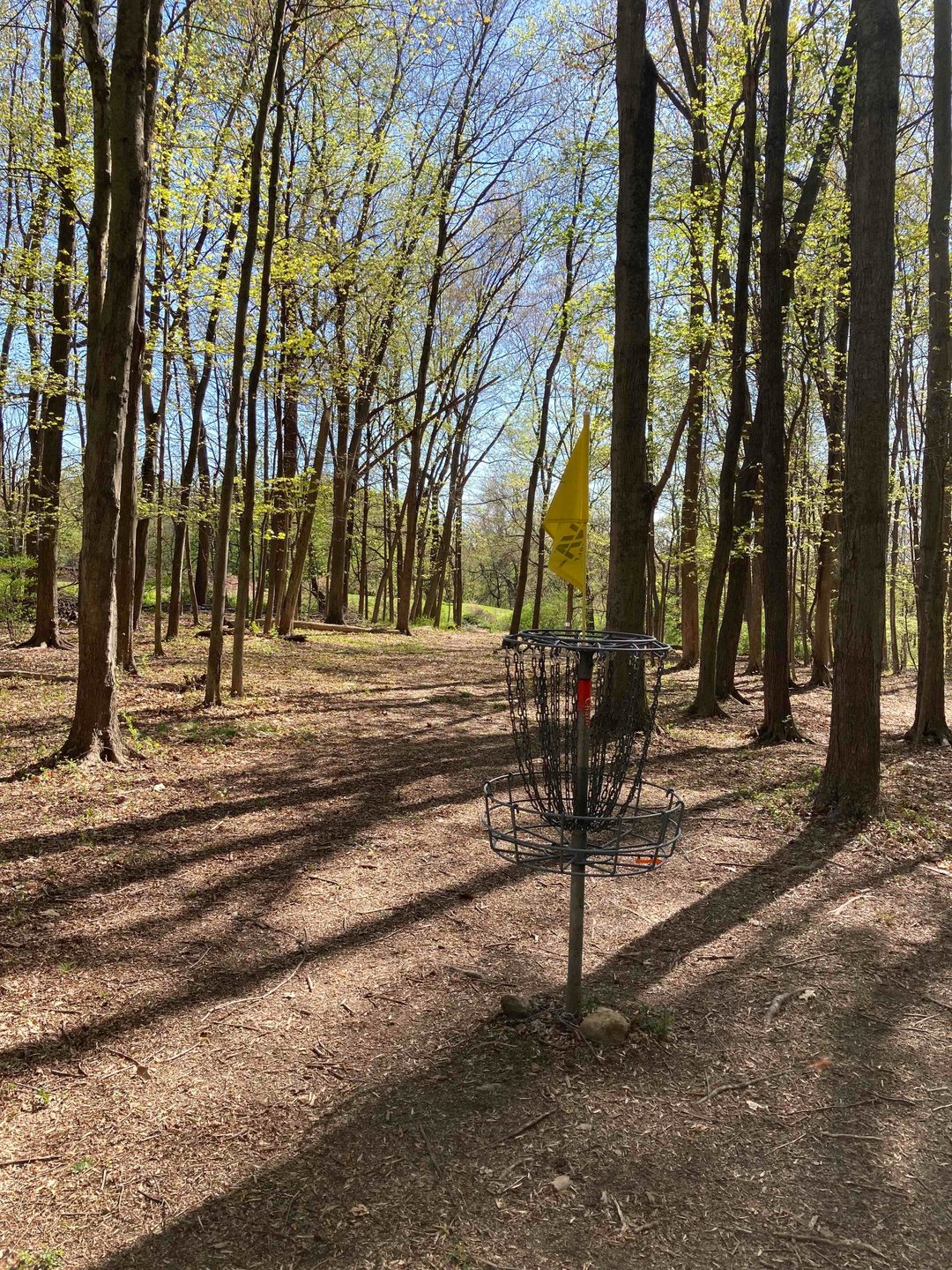 View from Hole 11 basket back up fairway