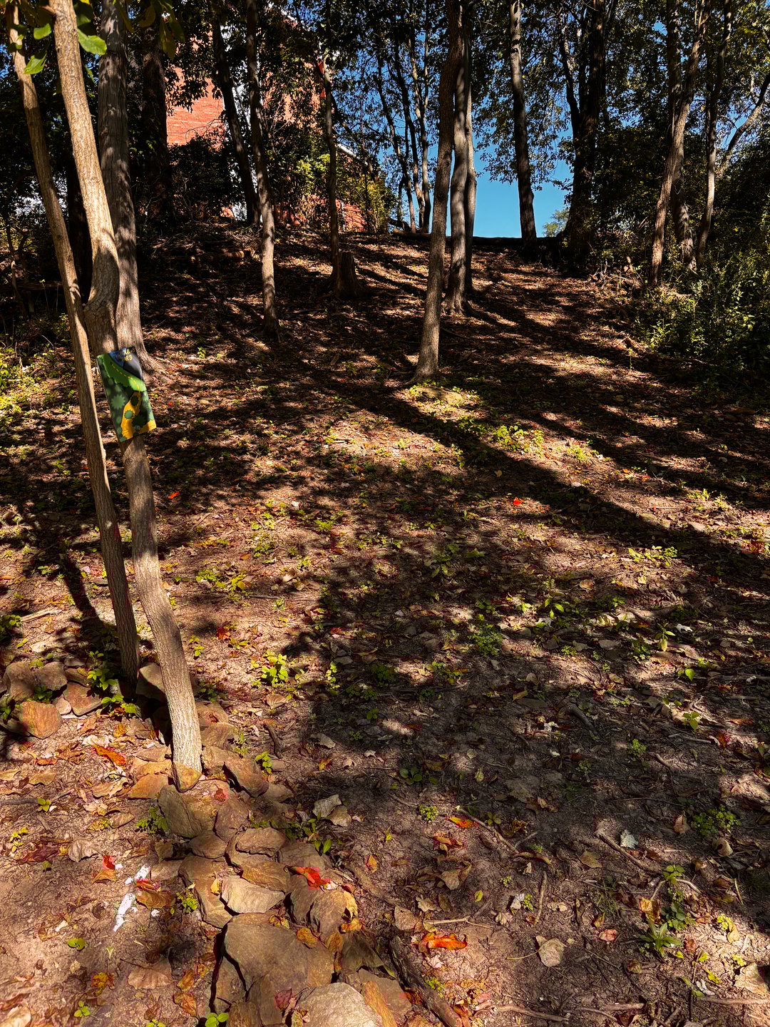 Advanced and Beginner Tee
Hint:  Do not wake "The Sleeping Dog" on this dogleg by trying to cut through!  You will get bit!