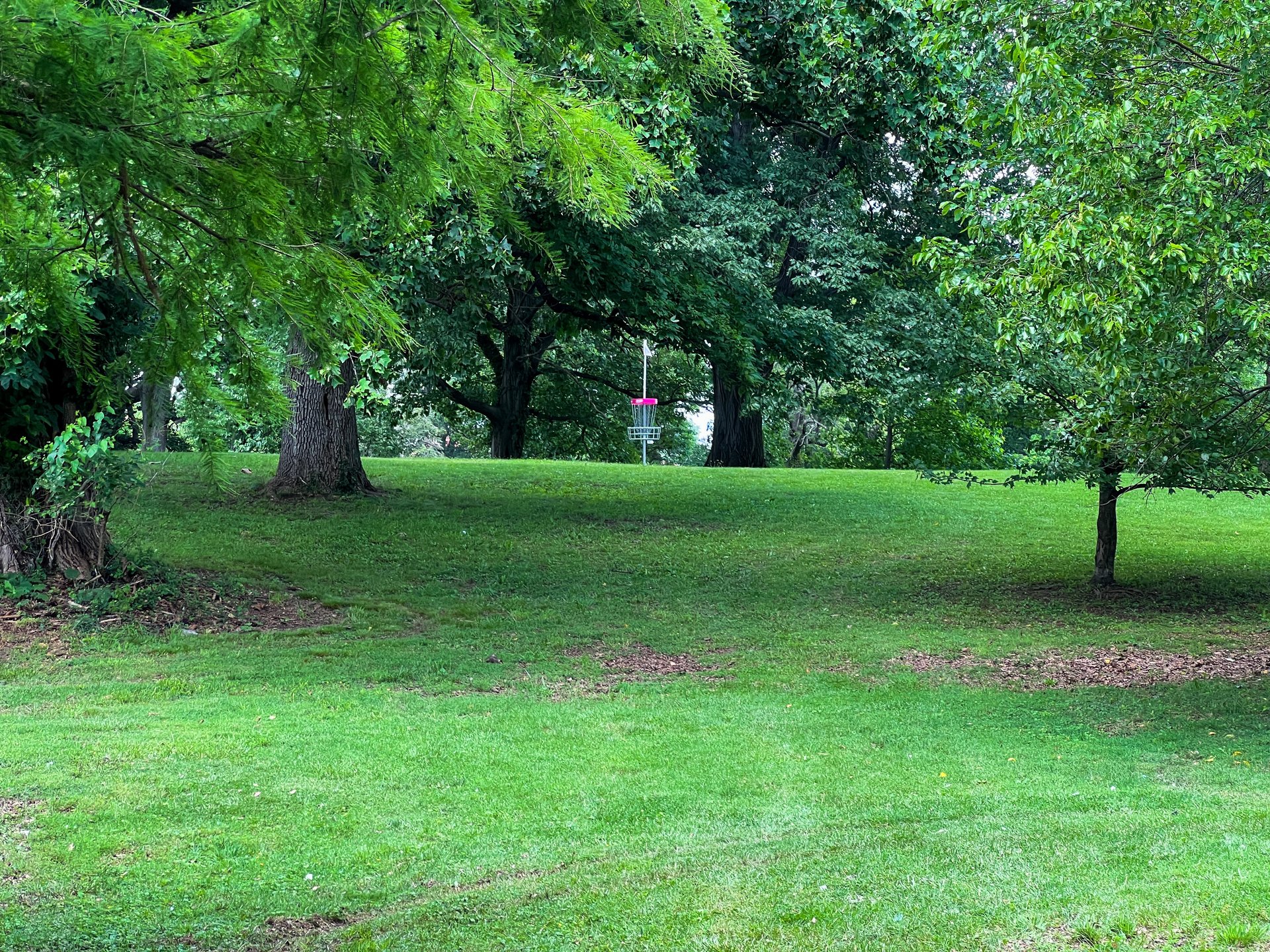 Hole 8's Pink Basket. Par 4, 470 ft. 