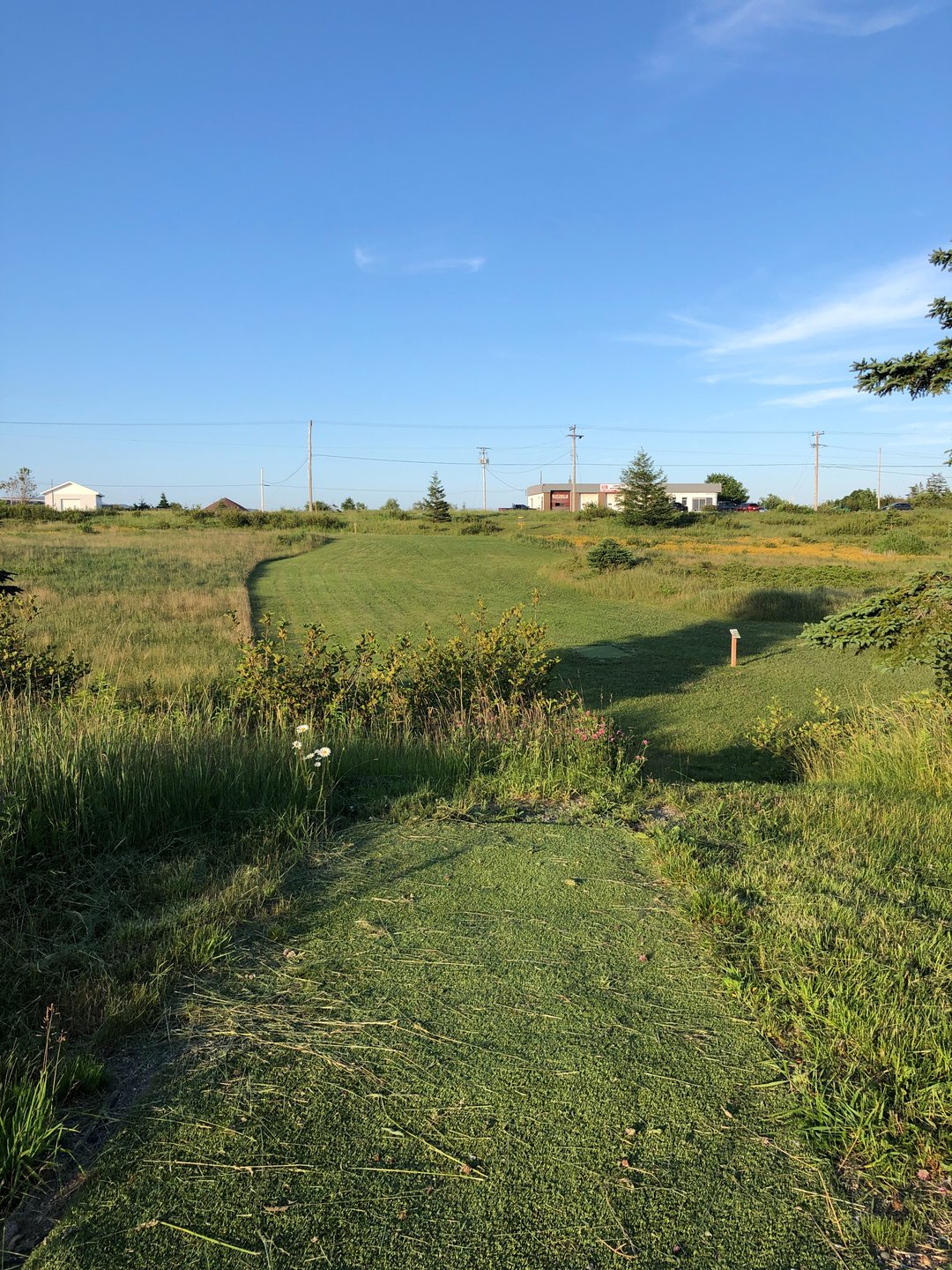 Hole 3 from blue tee