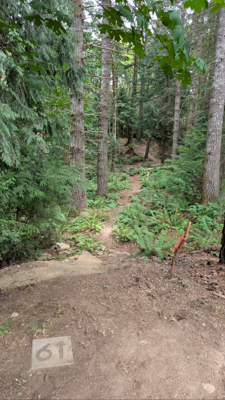 Hole 6 - looking down and across!