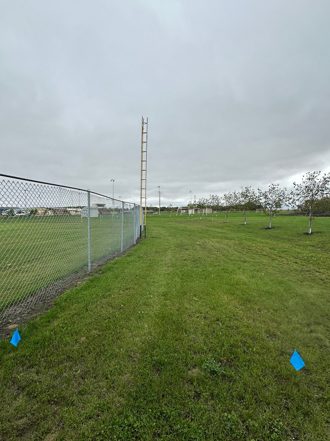 Hole 9: Beyond fence out of bounds. Mandatory right of foul pole. If mando is missed drop zone beside foul pole with added stroke penalty. 

For added difficulty: mandatory left of the tree with the mandatory right of the foul pole creating a tunnel shot to the basket. 