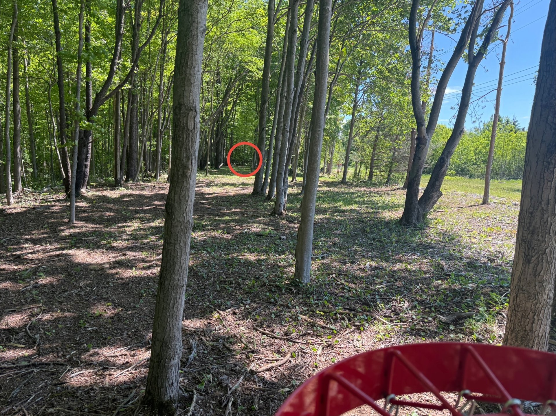 Hole 8 Basket to Tee