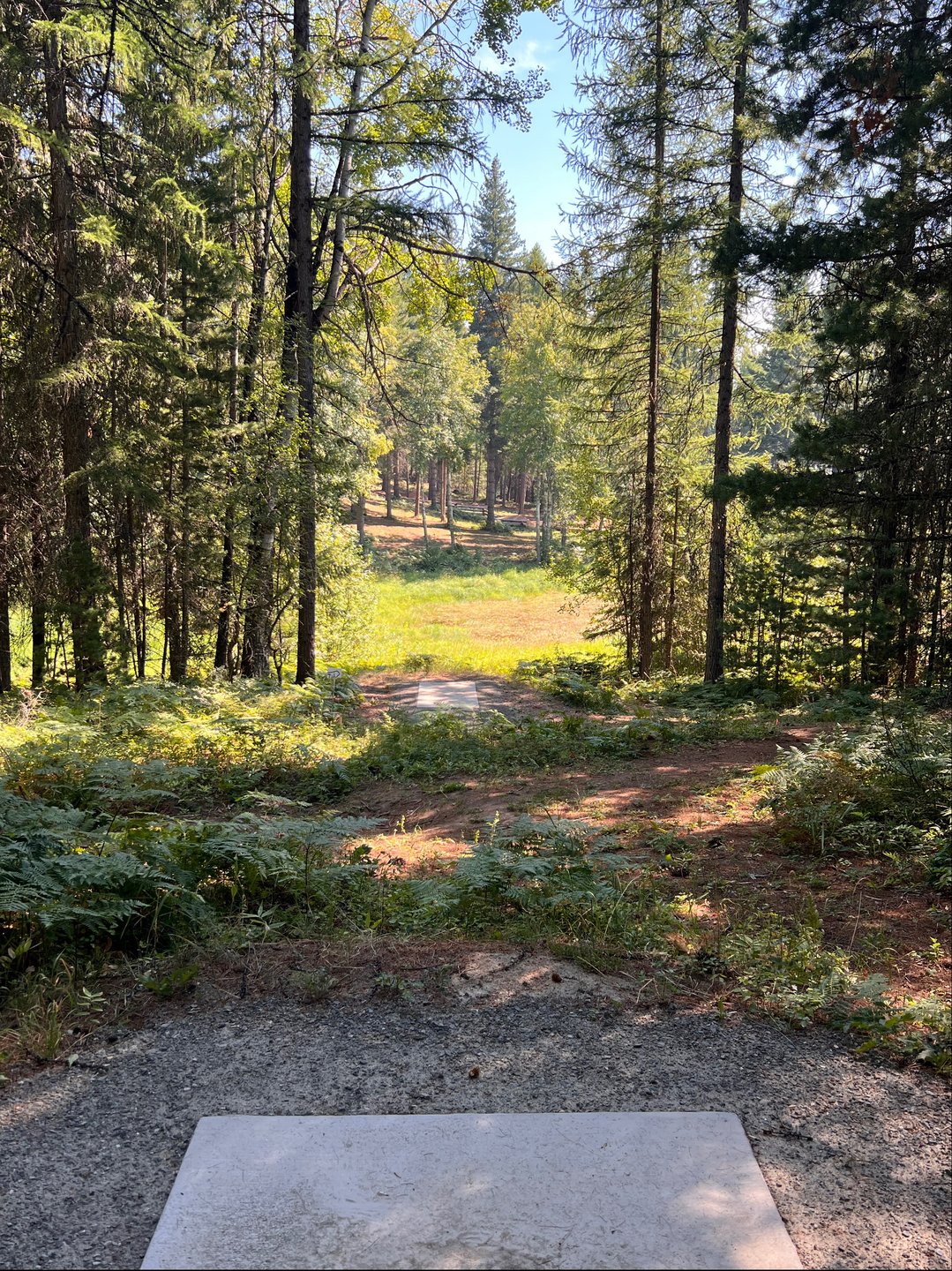 Hole 7 teepad