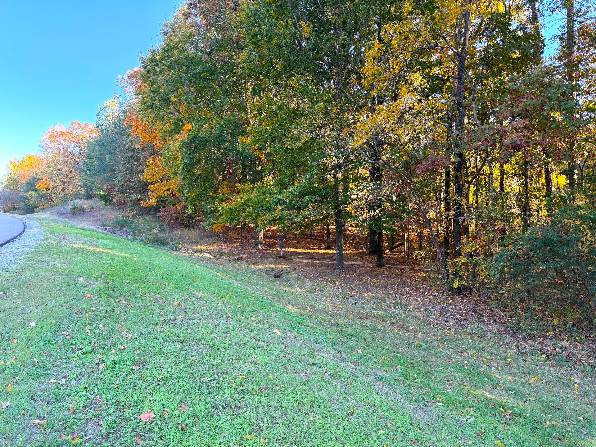 Hole 19 Approaching the Basket