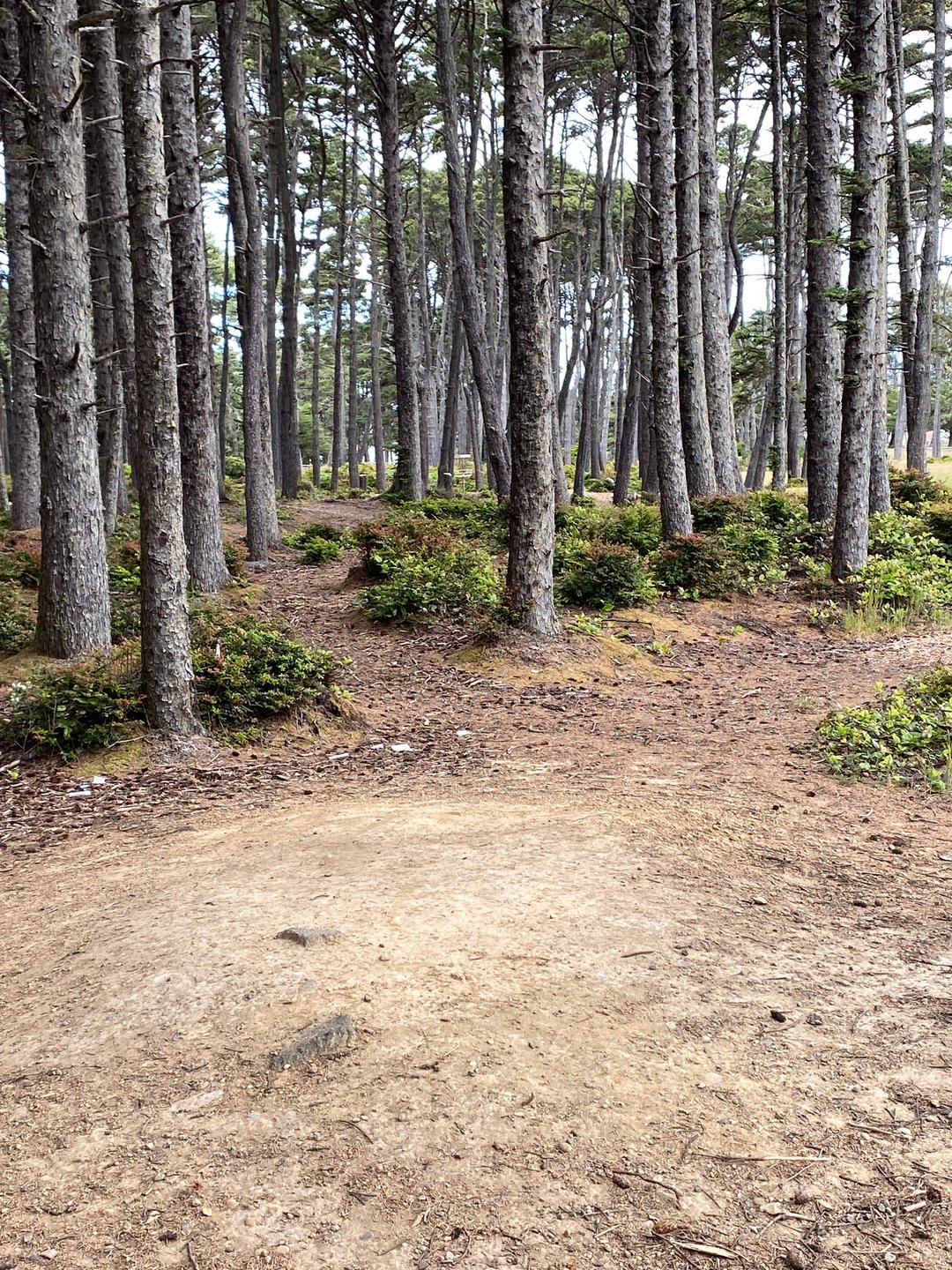 The sloped mound of dirt is used for a Tee pad for Hole 6 on the Main layout and Hole 7A on the Bandon 30 layout.