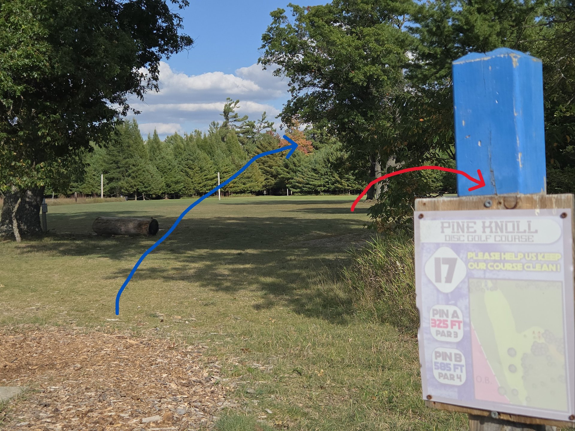 #17 Blue tee Red & Blue baskets