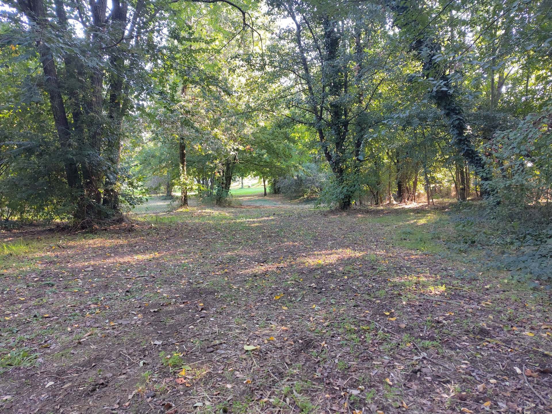 tee hole 7 (red layout)