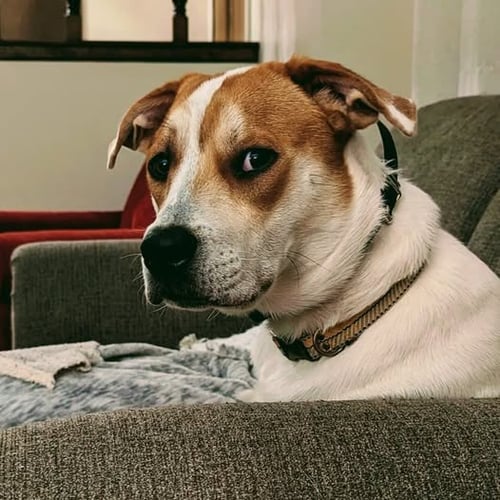 Dick Parker profile photo