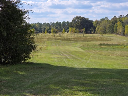 Looking down toward the basket, taken off to the right of the tee.